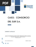 Consorcio Del Sur