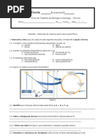 Ficha de Trabalho Sobre Fotossintese