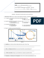 Ficha de Trabalho Sobre Fotossintese