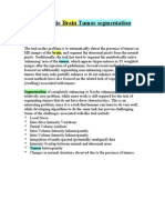 Automatic Brain Tumor Segmentation