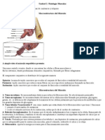 Resumen Fisiologia Gral Educ. Fisica