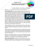 INFORME EJECUTIVO PROYECTO