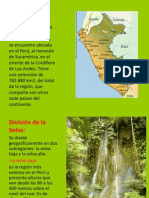 Diapositiva La Selva