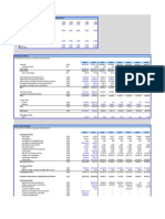 Financial Model-Mega Brand