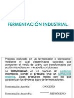 Fermentacion Industrial