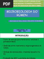 Microbiologia Do Rumen
