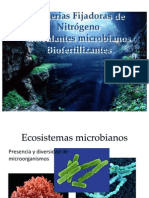 Biofertilizantes I