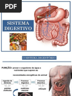ANATOMIA DO SISTEMA DIGESTÓRIO