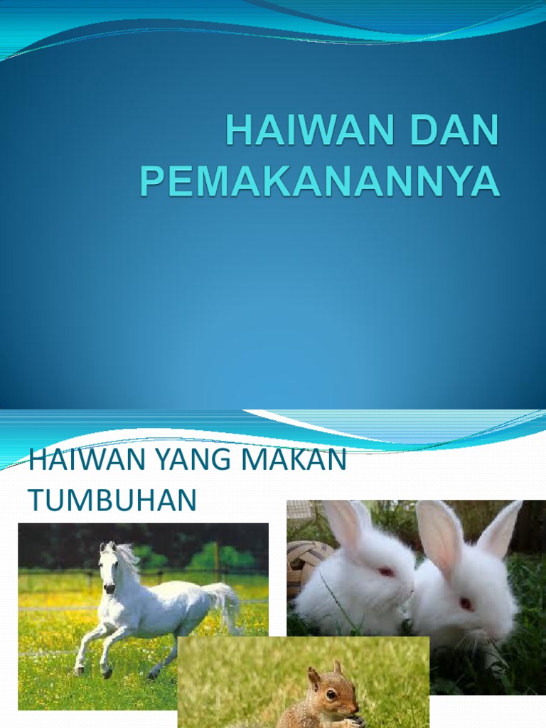 Haiwan Dan Pemakanannya