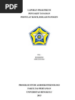 Download Postulat Koch Isolasi Patogen by Murdiono Mn SN136850710 doc pdf