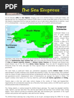 Sea Empress Pollution Case Study