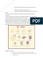 Plasmodium Vivax Dan Palcifarum