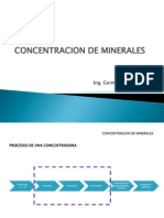 Concentración de Minerales