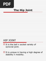 Download Anatomy of Hip by vijaykrishna59 SN13690038 doc pdf