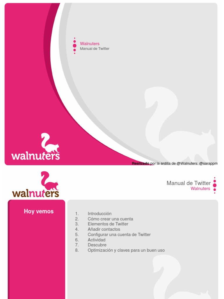 Manual de Uso de Twitter | PDF | Contraseña | Hashtag