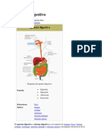Aparato digestivo