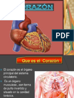 Diapositivas Del Aparato Circulatorio