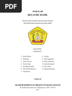 Download Makalah IKM Kelas IBu  by SOPANDI SN136913948 doc pdf