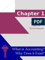 Financial Accounting and Its Environment