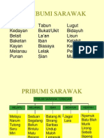Pribumi Sarawak