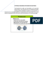 Recuperacion de Petroleo Mejorada Por Medio de Bacterias