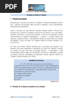 Princípios do Direito do Trabalho