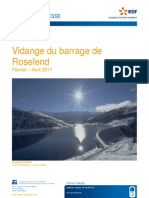 DP_Vidange_de_Roselend.pdf