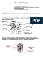 Aula 3 Giardia