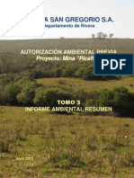 IAR MINERA SAN GREGORIO SA Mina Picaflor Extracciyn Aurifera PDF