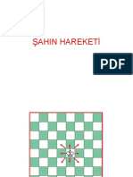 9 Sahin Hareketi