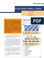 025 027 Patologia Bacterias Gram Positivas Gram Negativas Mora SA201202