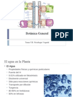 Tema VII Botanica General Fisiología Vegetal Parte I