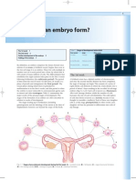 Embriologia humana (www.medicaltextbooksrevealed.com)