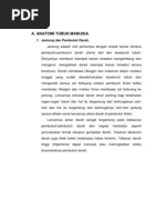 Download ANATOMI TUBUH MANUSIApdf by Rusrial Cani SN137031058 doc pdf