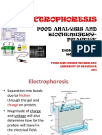 Electrophoresis: Food Analysis and Biochemistry-Practice