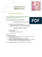 Conjuguer Savoir Être Et Savoir-Faire - La Magie de Voir Grand PDF