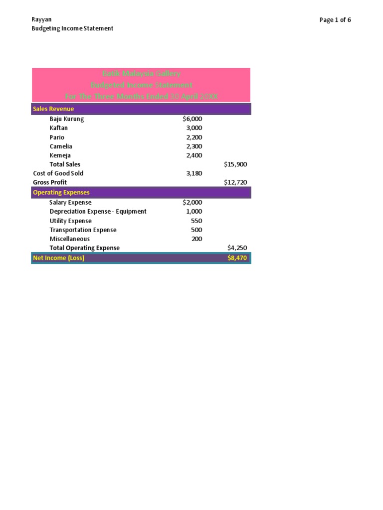 Budgeted Income Statement Overview | PDF | Expense | Net Income