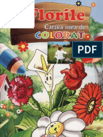 123449128 Cartea Mea de Colorat Florile