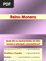 Reino Monera