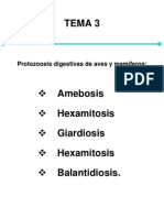 Protozoosis digestivas de aves y mamíferos