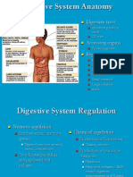 Anatomia Sist Dig