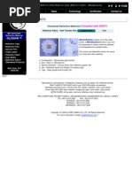 Download Reflective Film by Reflective Tape Reflective Yarn SN13708932 doc pdf