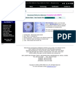 Download Reflective Film by Reflective Tape Reflective Yarn SN13708932 doc pdf