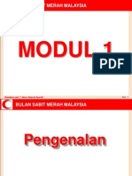 modul1-091008183414-phpapp01