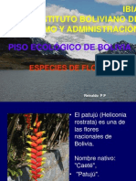 Flora de Bolivia