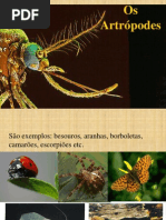 INTRODUÇÃO ao FILO ARTHROPODA
