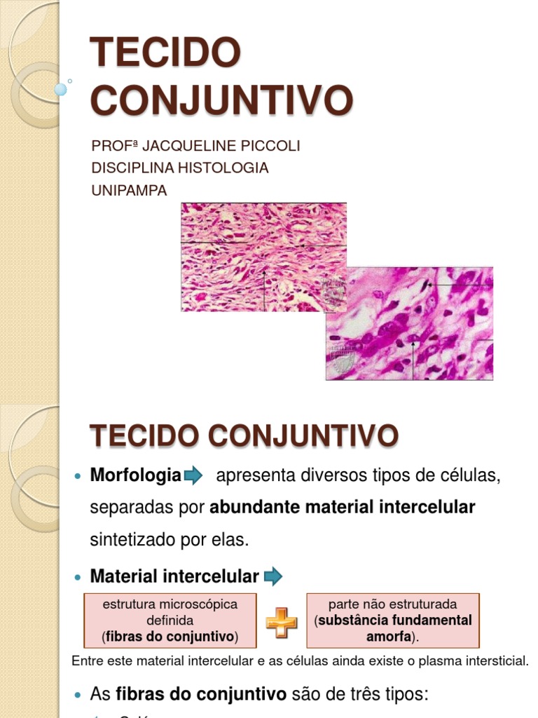 Tecido Conjuntivo Cartilagem Tecido Adiposo
