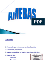 8. Amebas Intestinales