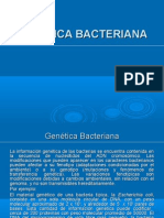 Genetica Bacteriana