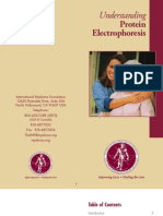 Understanding Protein Electrophoresis